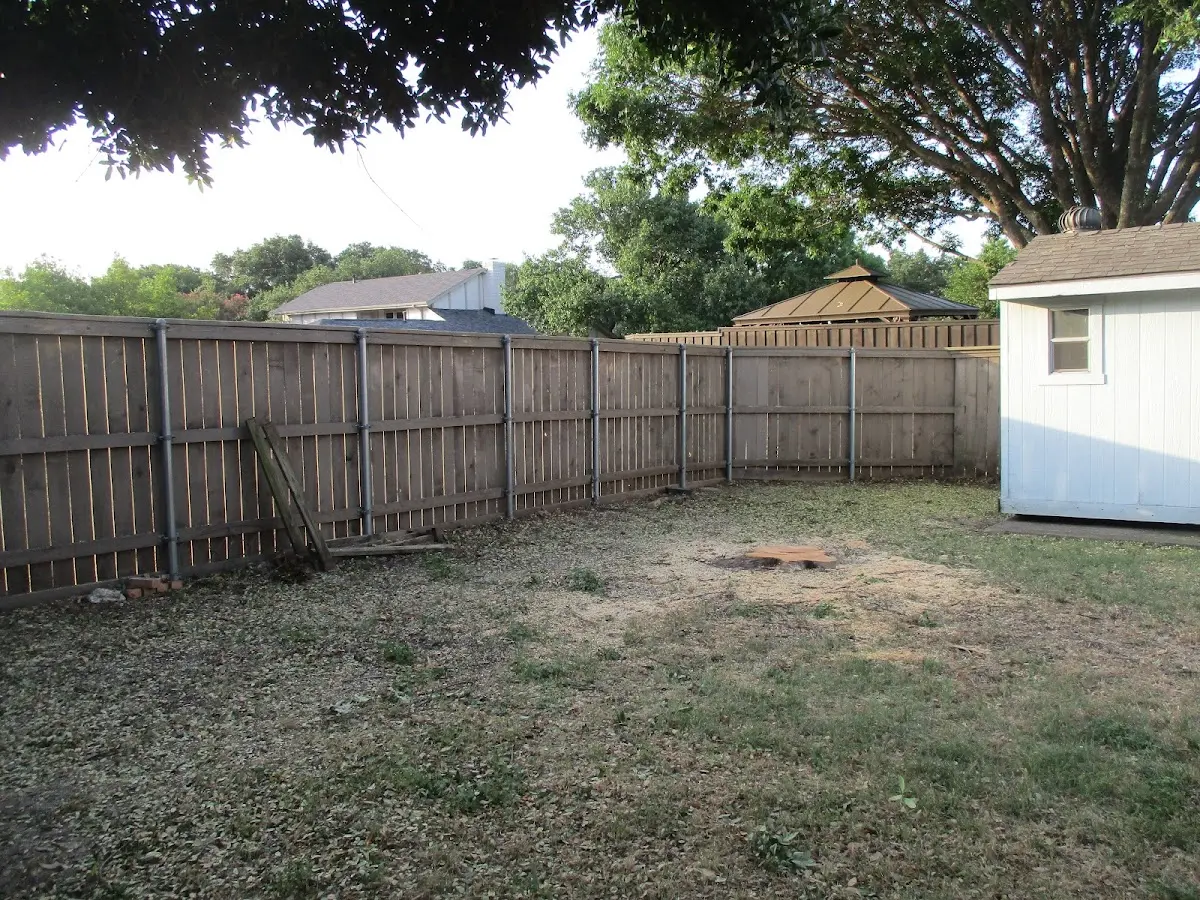 Cleared yard after professional tree removal in Feasterville Trevose