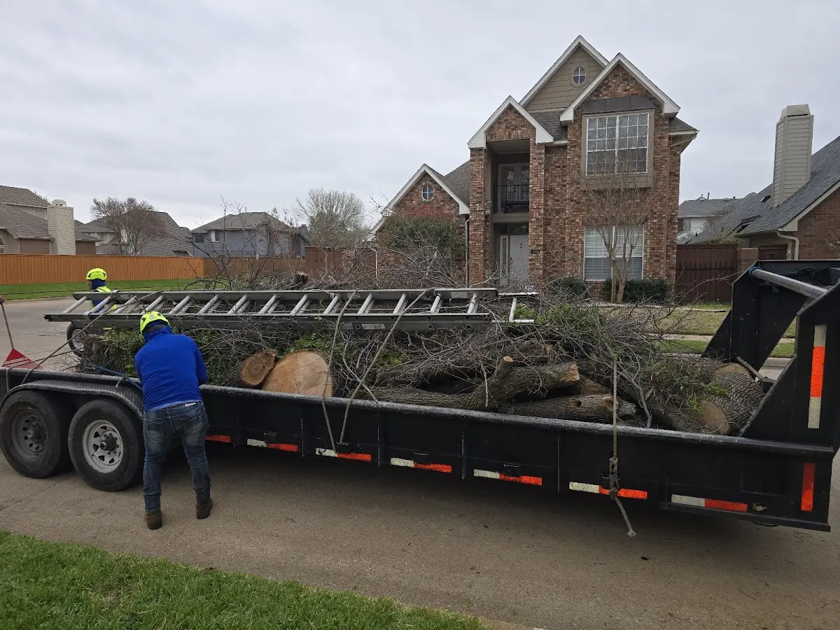 Expert Tree Pest Control with proper safety equipment in Feasterville Trevose
